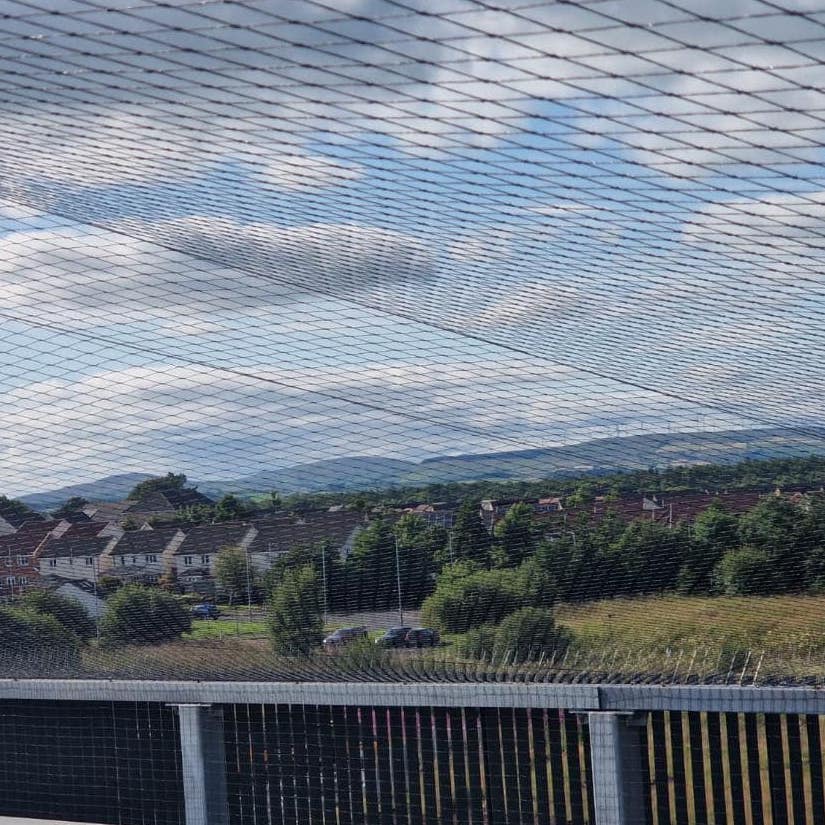 a set of bird spikes sat on a ledge surrounded by a large bird net