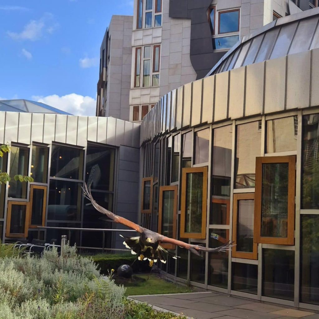 A harris hawk flying in front of the Scottish parliament
