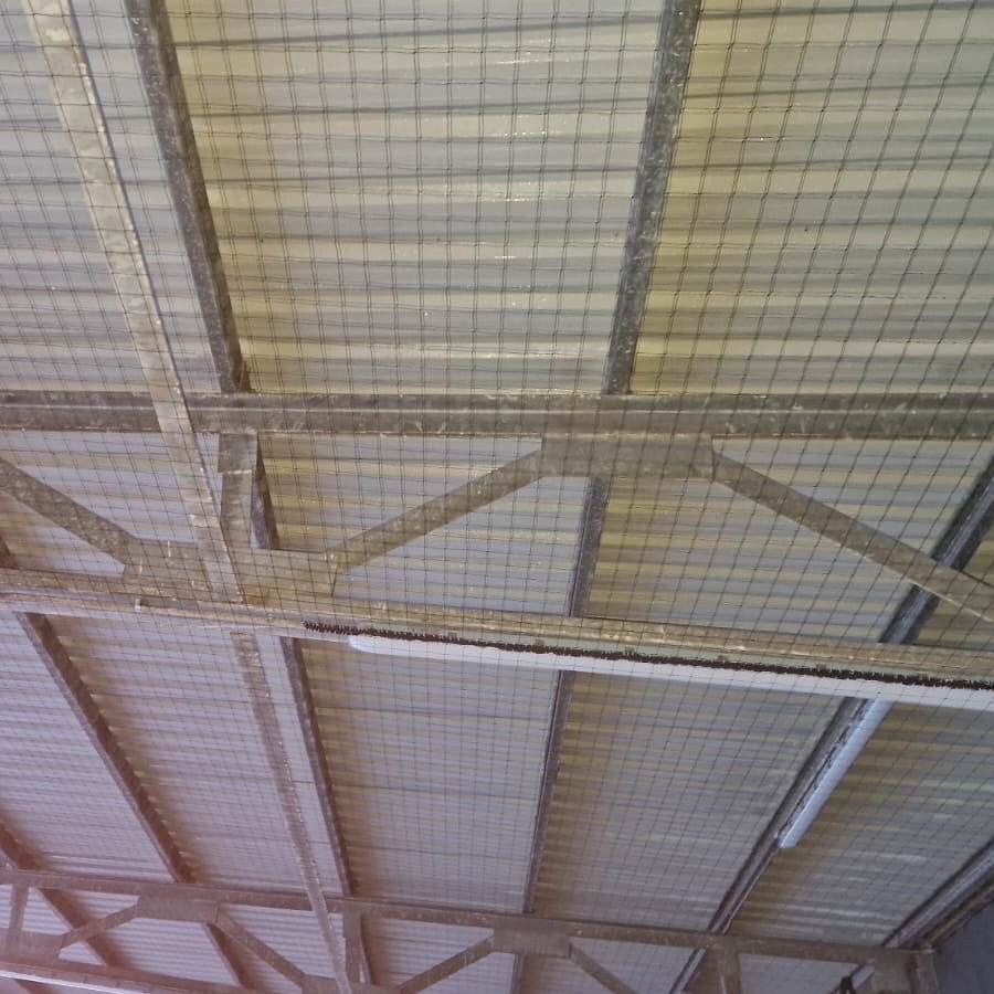 Bird netting on a roof